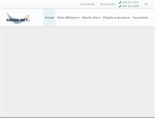 Tablet Screenshot of magik-net.com